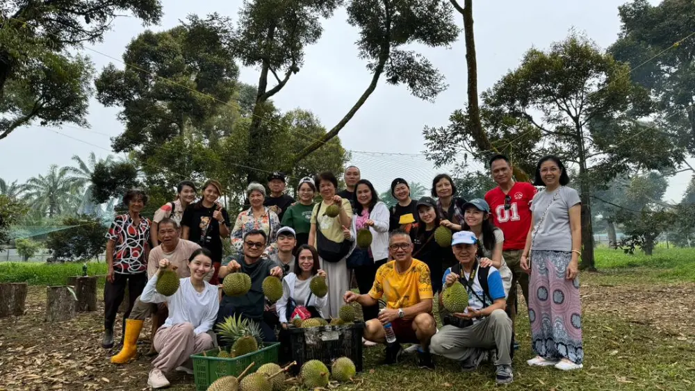 宾客在榴莲咔咔果园里手持刚落下的榴莲